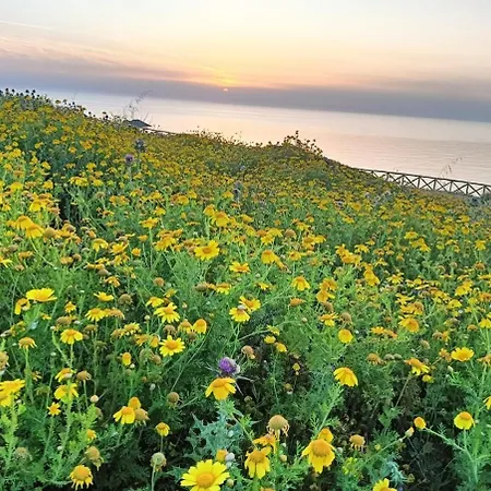 La Casetta Degli Amici Ustica *
